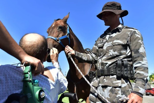 imagem colorida cavalos durante terapia assistida em hospital de aparecida de goiania