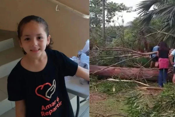 Imagens coloridas mostram montagem de menina de cabelos presos, camiseta preta com a inscrição Amar é Repartir, e árvore caída
