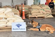 Cães farejadores ajudaram na localização da droga