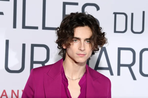 Timothée Chalamet viraliza ao usar acessório curioso em première
