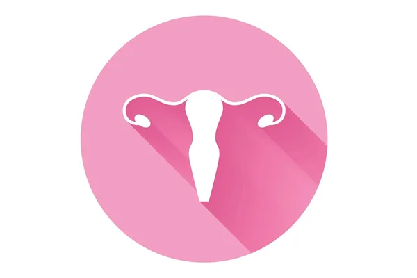 Maioria das mulheres nem percebe menopausa. Saiba primeiros sinais