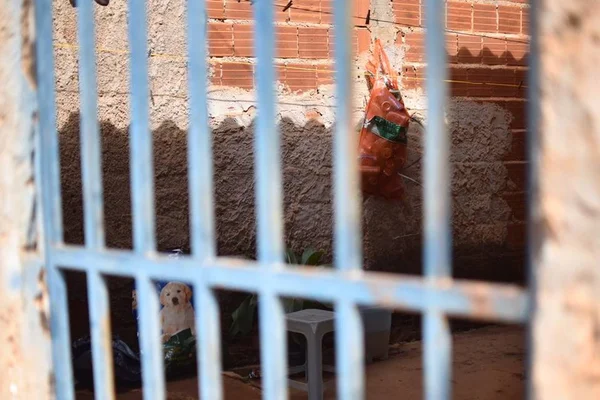 DF: vizinho de mulher espancada até a morte: “Tragédia anunciada”