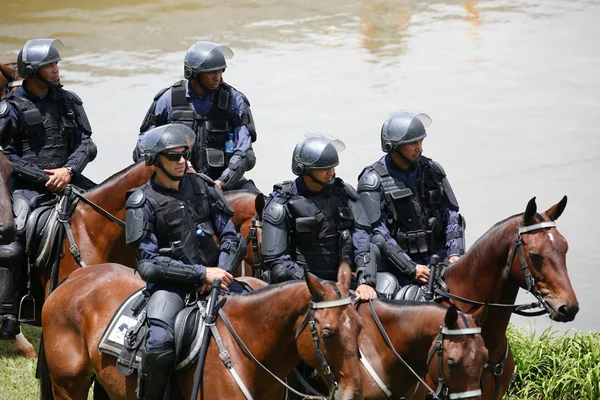 Cavalaria da PMDF prende “admirador do mundo fashion” no Polo de Modas