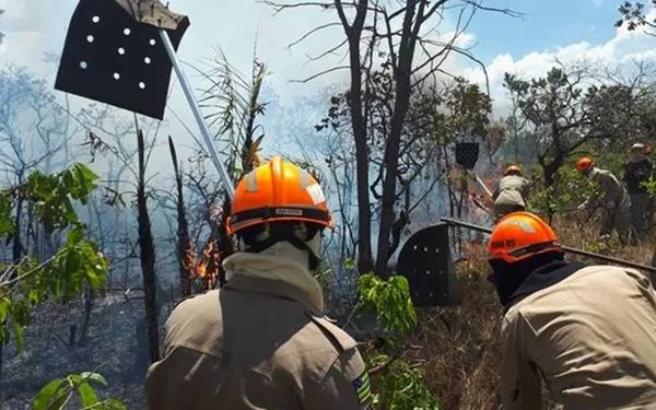 Brigadistas voluntários pedem doações para combate aos incêndios na Chapada