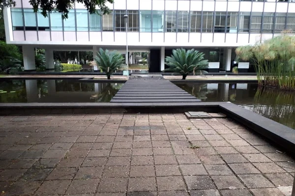 Furto de filtros ameaça conservação do Lago Burle Marx, na 308 Sul