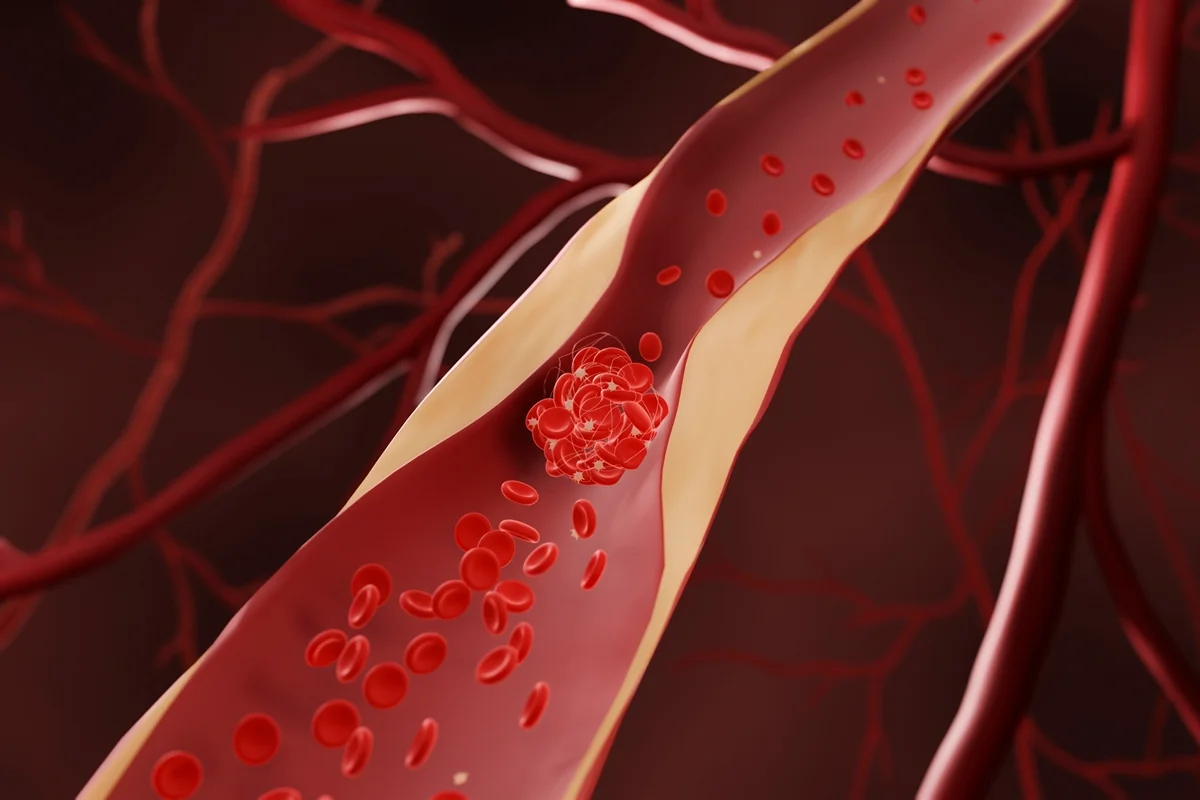 Ilustração da circulação do sangue. Metrópoles