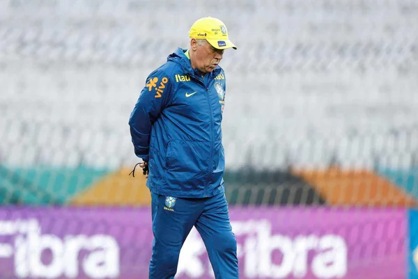 Imagem colorida de Ancelotti andando em campo - Metrópoles