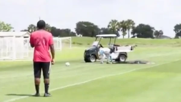 Jacaré invade treino do Toronto FC, novo time de Soteldo; veja