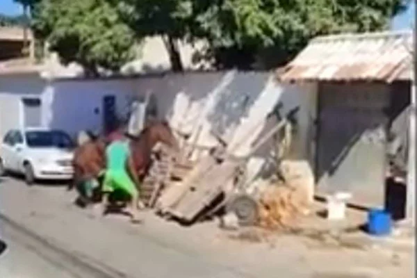 Imagem colorida de reprodução de carroceiro agredindo cavalo com enxada no Rio de Janeiro