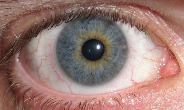 Foto colorida aproximada de olhos com cores cinza