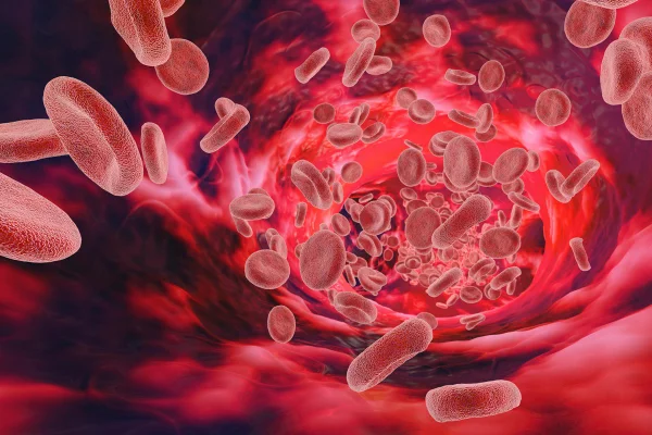 Os glóbulos vermelhos viajam através de um vaso ou veia nesta ilustração médica da biologia de um ser humano. Metrópoles
