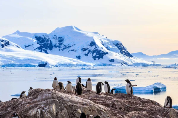 Antártica