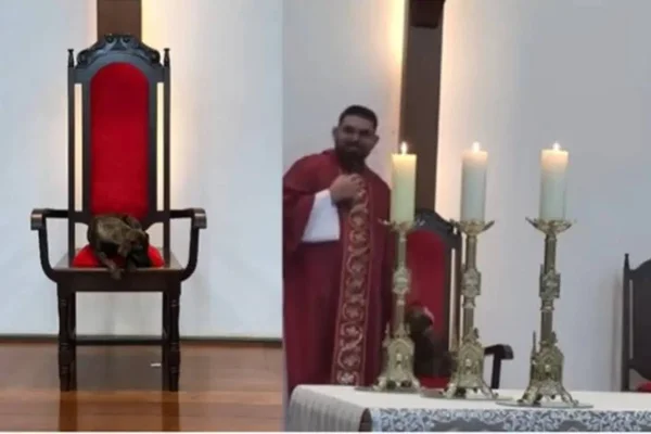 Vídeo: cãozinho “rouba” poltrona de padre, é batizado e ganha novo lar