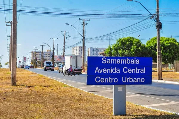 Samambaia