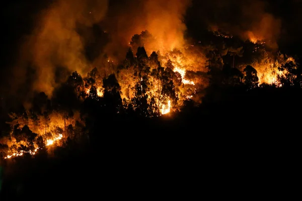 Ano de 2025 foi o terceiro mais quente da história