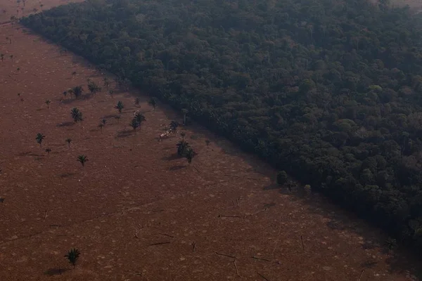 Foto colorida do desmatamento na Amazônia - Metrópoles