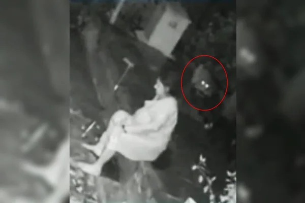 Onça ataca mulher que se defende com bengala