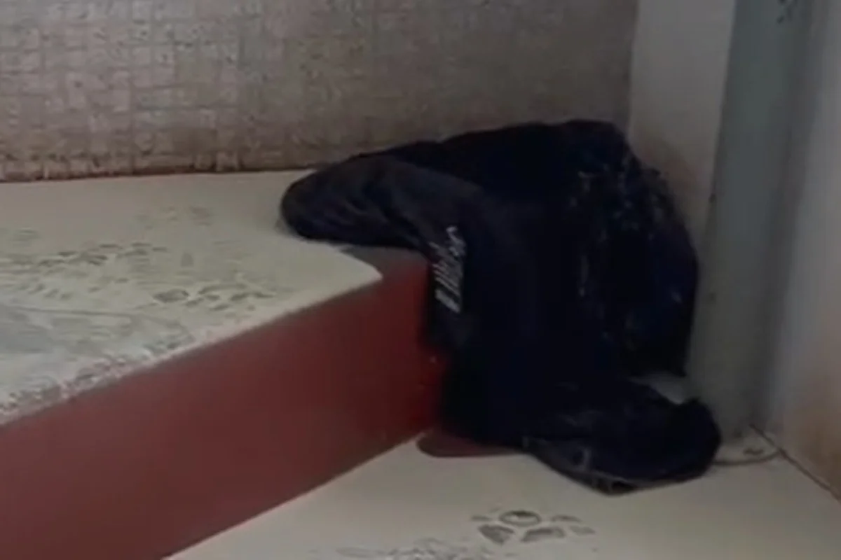 Roupa usada pelo homem que invadiu o prédio e fez a idosa refém Roupa usada pelo homem que invadiu o prédio e fez a idosa refém