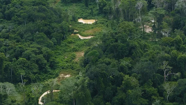 Governo Federal - Garimpo - Yanomami