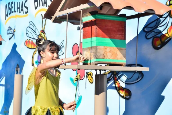 goias meliponario escolar