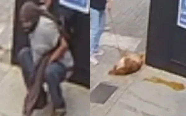 Homem defeca em frente a loja e cachorro se esfrega
