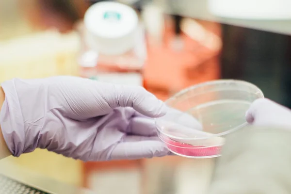 Estudo da USP relaciona uso do celular a bactérias resistentes em UTIs