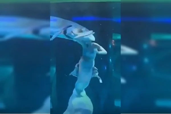 Imagem colorida do momento em que o peixe ataca a mulher - Metrópoles