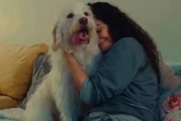 Letícia Sabatella emociona ao reencontrar seu cãozinho, Bertoldo: "Alívio" - Metrópoles