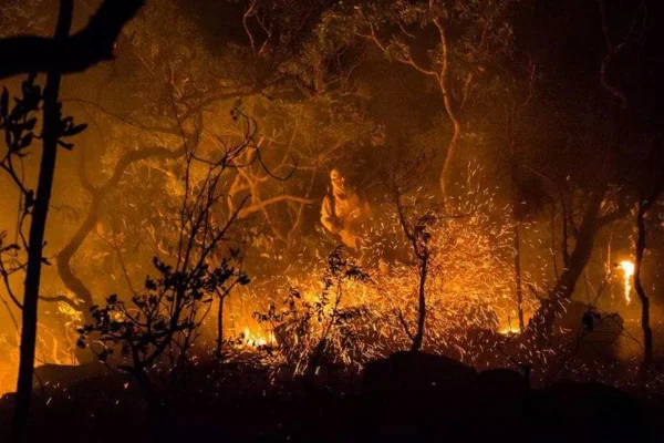 Foto colorida de brigadista em meio às chamas durante incêndio no Parque Nacional da Chapada dos Veadeiros
