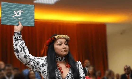 silvia waiapi