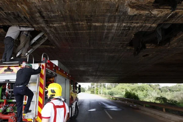 “Ponte não tem risco de desmoronar”, diz diretor do DER sobre Bragueto