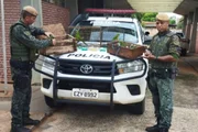 Polícia Ambiental resgata filhotes de papagaio-verdadeiro em assentamento de Teodoro Sampaio (SP)