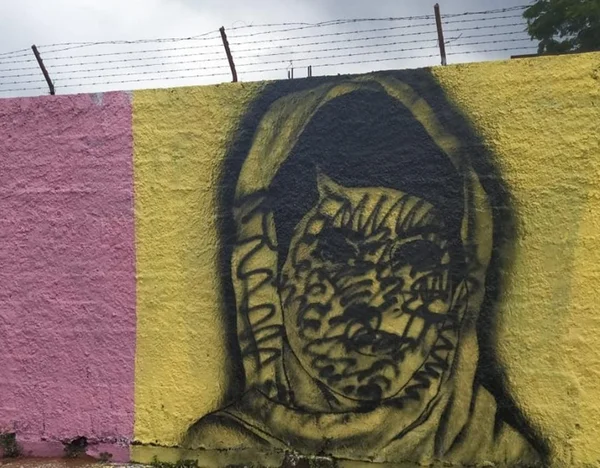 Pichador cobre rostos de mulheres em muro de escola do DF