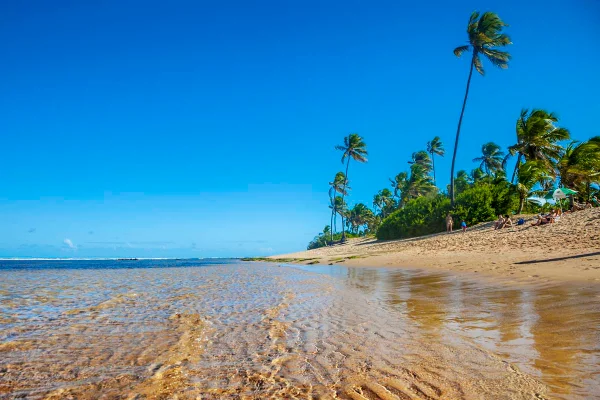 Foto colorida de praia da Bahia - Metrópoles