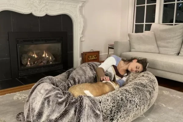 Cama de pet enorme permite sonecas compartilhadas entre animal e tutor