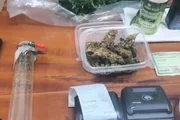 Polícia desarticula plantação profissional de maconha no litoral de SP Polícia desarticula plantação profissional de maconha no litoral de SP