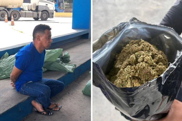 Montagem com foto colorida de homem preso com quase meia tonelada de maconha - Metrópoles