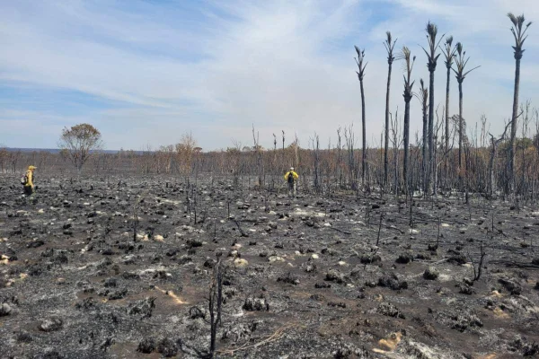 Veja fotos impactantes de área afetada por incêndio no Parque Nacional