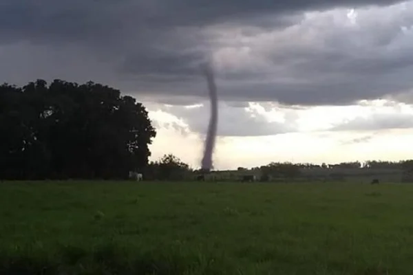 Tornado intriga moradores da região rural de Mato Grosso do Sul