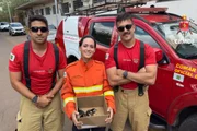 A operação de resgate empenhou uma viatura