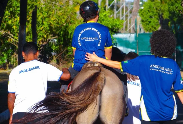 equoterapia