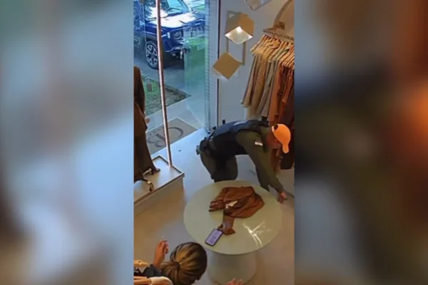 Policiais salvam mulheres de aranha invasora e cena viraliza