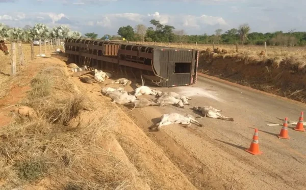Bezerros mortos após carreta tombar na Go-239, em Goiás