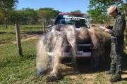 PM Ambiental apreende rede em fiscalização à pesca durante a piracema