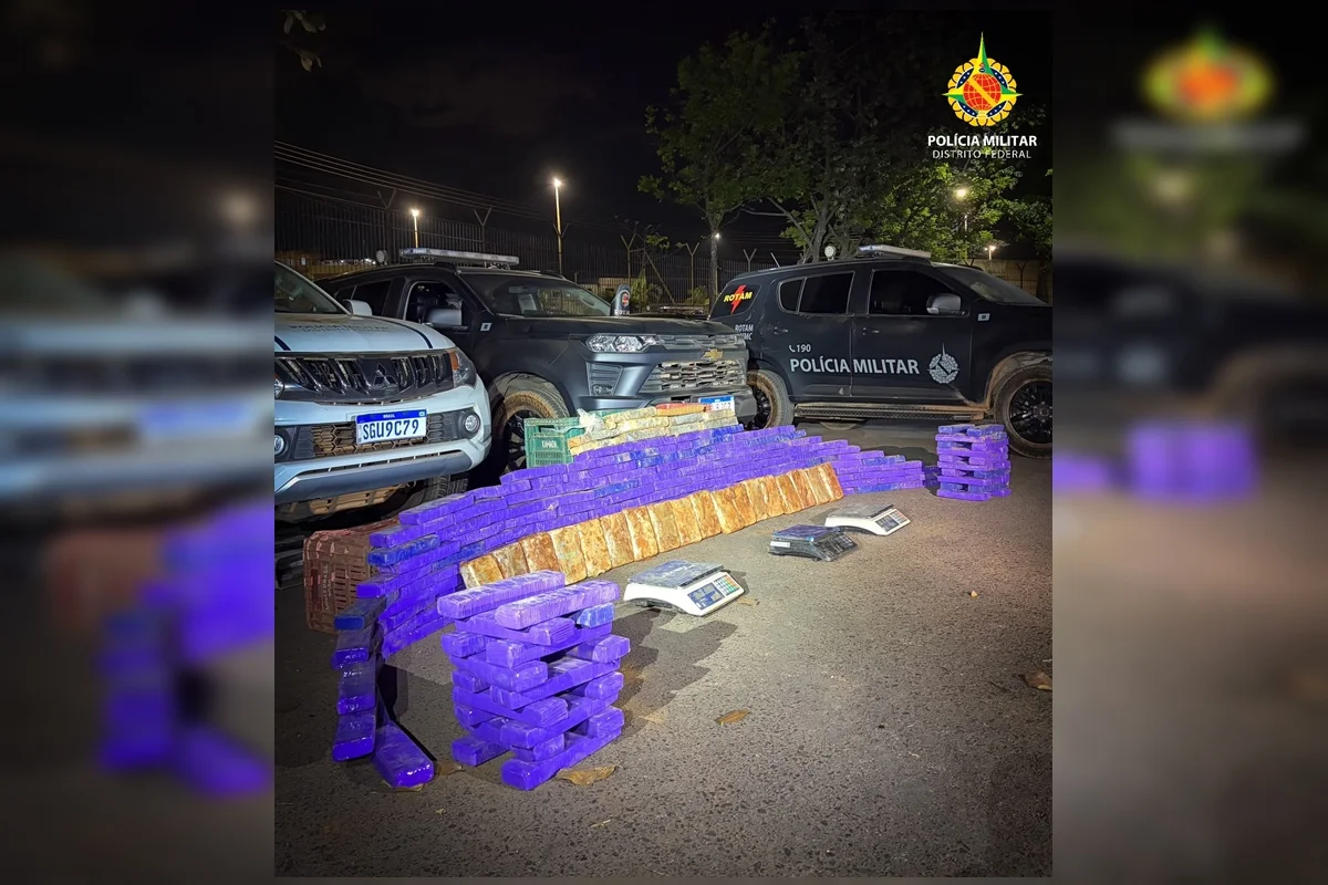 PMDF Encontra Mais de 200 Tabletes de Drogas Escondidos em Chácara