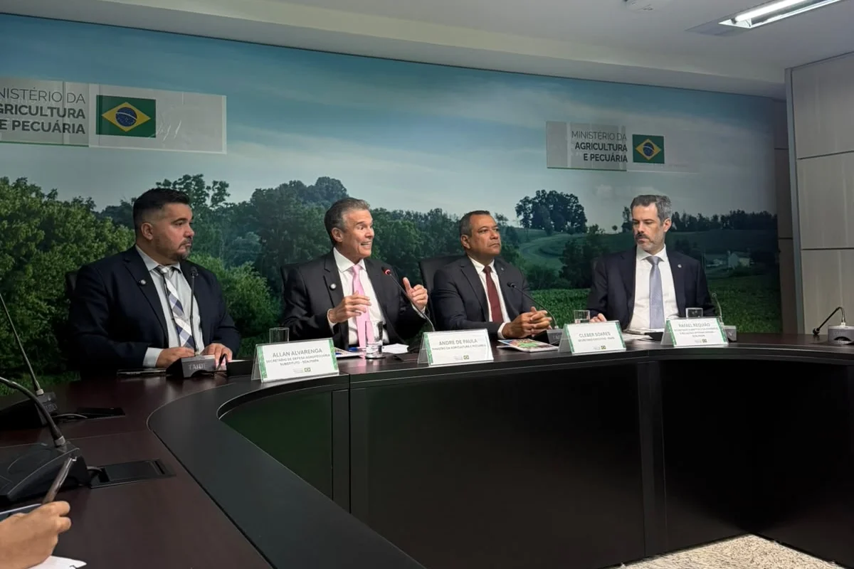 Governo confirma foco da doença de Newcastle em granja de perus em SC
