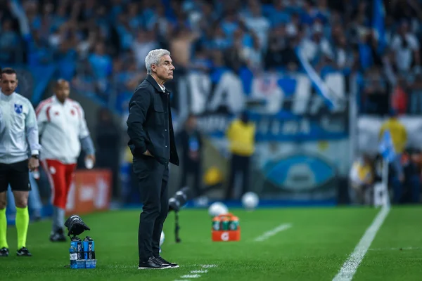 Luís Castro, treinador do Grêmio