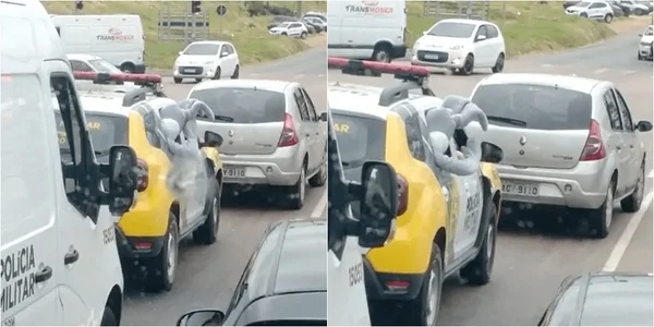 Páscoa cancelada? Vídeo de coelhinho “detido” em viatura viraliza