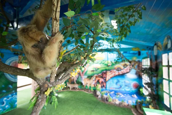 Museu em Águas Claras ensina aos jovens importância do meio ambiente