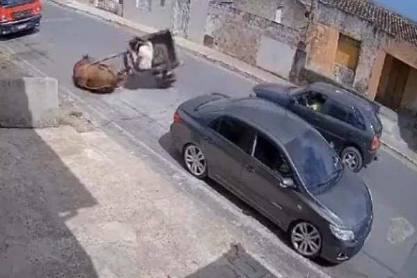 Imagem colorida, câmeras de segurança flagrando cavalo caindo no chão - Metrópoles